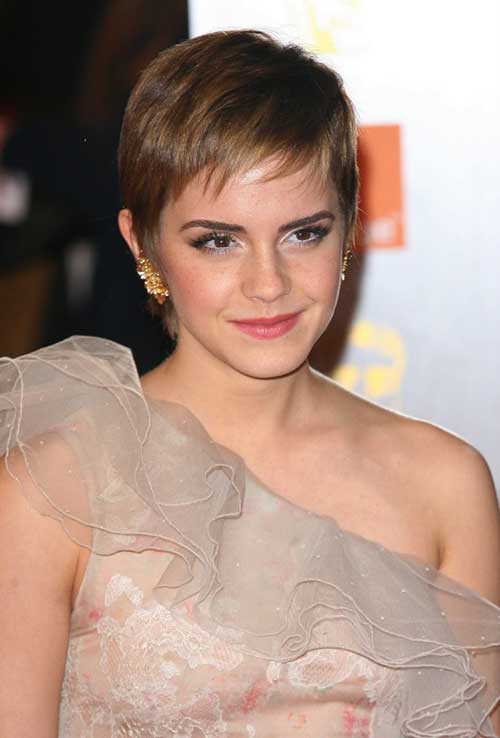 Short Brown Straight Pixie 2014 Short Brown Straight Pixie 2014-2015